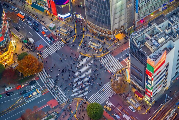 Obraz Skrzyżowanie Shibuya w Tokio