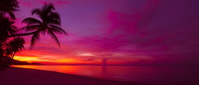Obraz Sylwetka palmy na tle zachodzącego słońca
