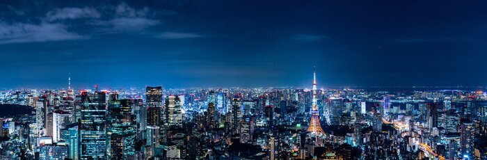 Obraz Szeroka panorama Tokio