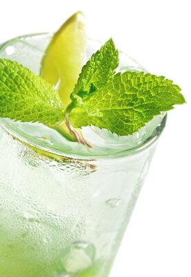 Obraz Szklanka mojito