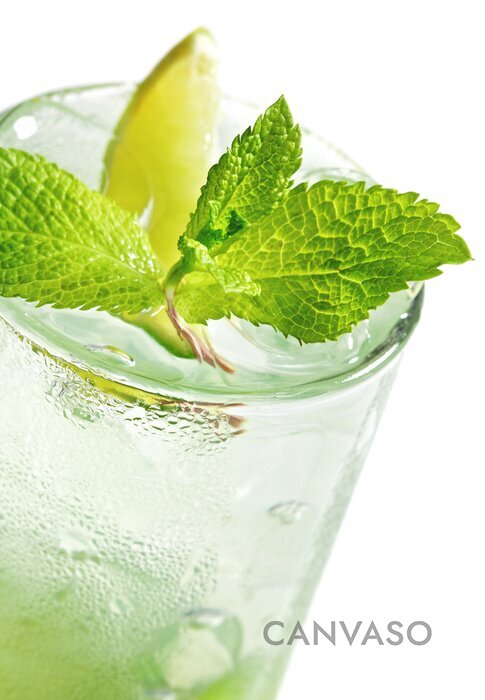 Obraz Szklanka mojito