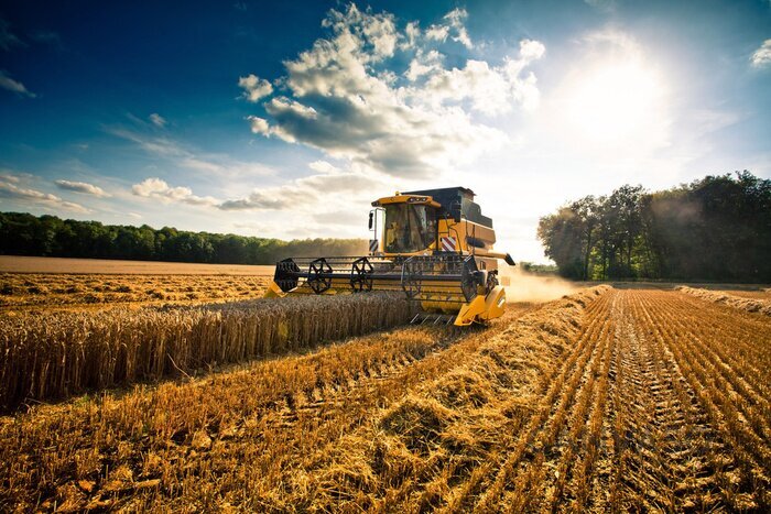 Obraz Traktor i rolnictwo podczas żniw