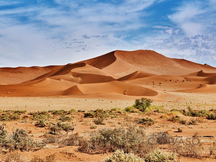 Obraz Widok na Namib 