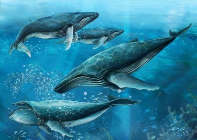Obraz Wieloryby oceanu