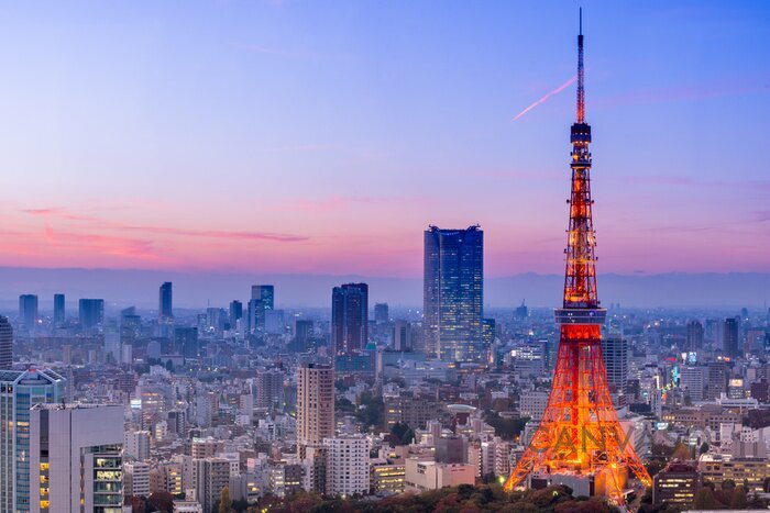 Obraz Wieżowce wokół Tokyo Tower