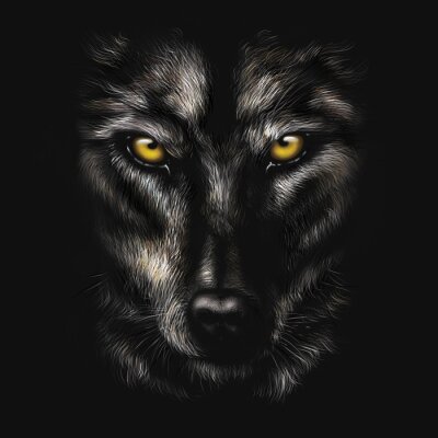 Obraz Wilk na czarnym tle