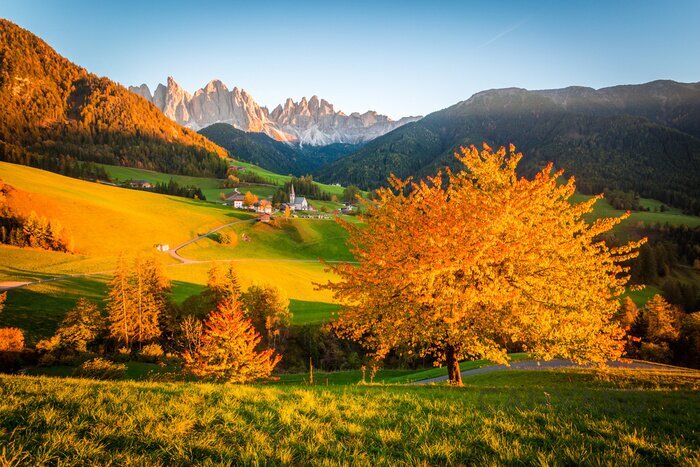 Obraz Włoskie Dolomity i jesienne drzewo