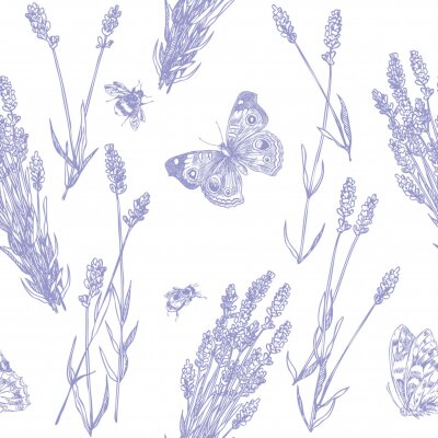 Obraz Wzór w stylu prowansalskim z lawendą i motylem