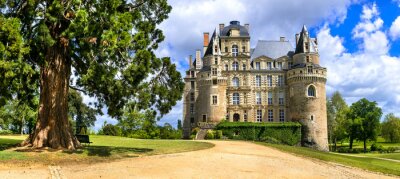 Obraz Zamek w Loire Valley