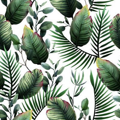 Obraz Zielone liście tropikalne malowane akwarelą na białym tle
