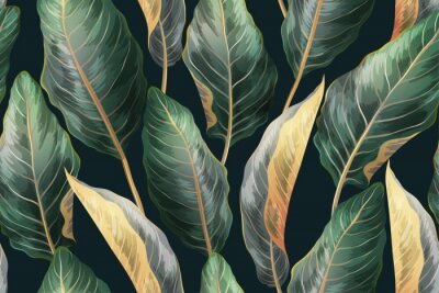 Obraz Zielone liście tropikalnej palmy