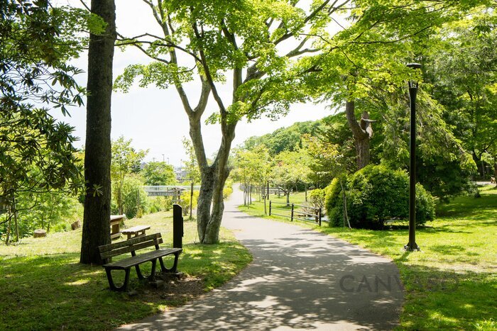 Obraz Zielony park w mieście