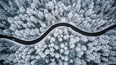 Obraz Zimowy krajobraz droga w środku lasu